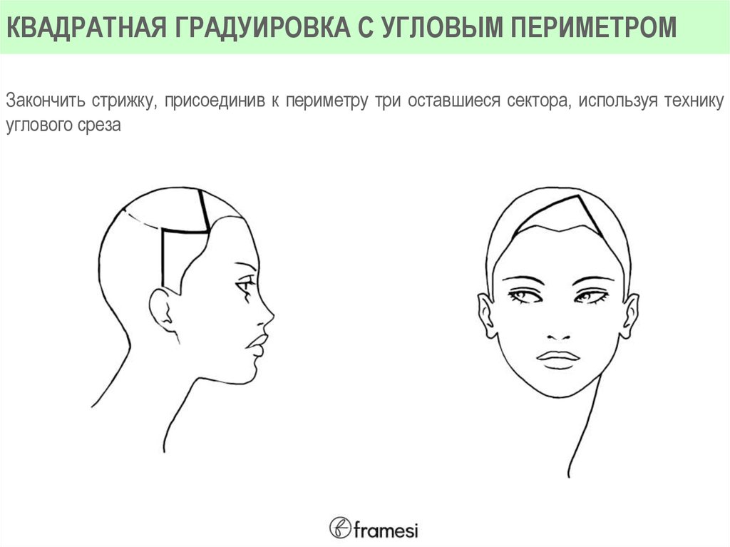 Вид градуировки. Квадратная градуировка. Квадратная градуировка стрижка. Градуировка внешняя и внутренняя волос. Внутренняя градуировка волос схема.