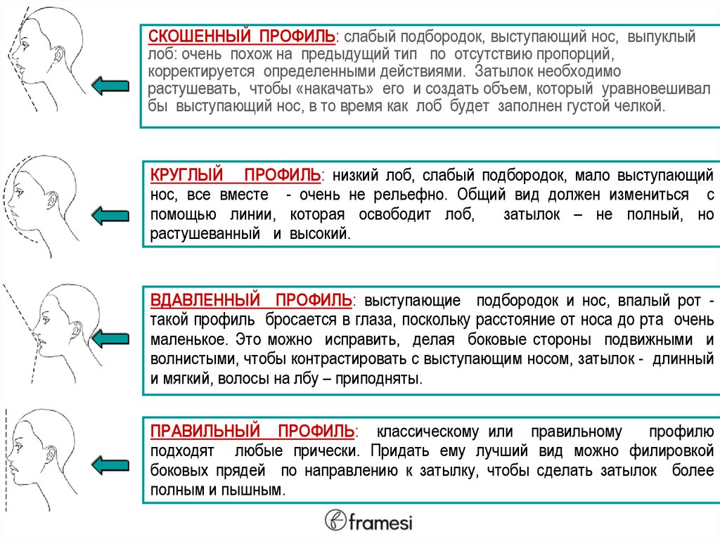 Что значит профиль. Покатый лоб. Прямой и скошенный лоб. Скошенный лоб. Низкий покатый лоб.