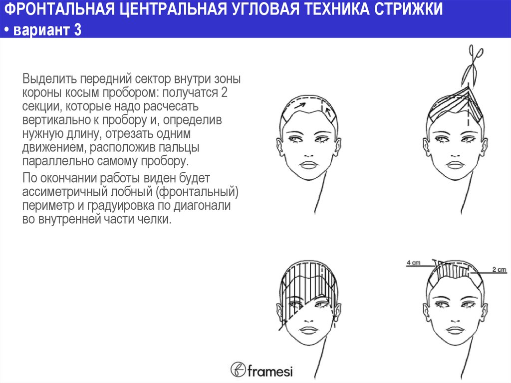 В каких стрижках показывают схему в профиль справа и слева