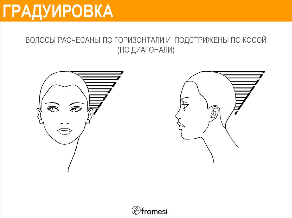 Волосы приглажены разработанный план