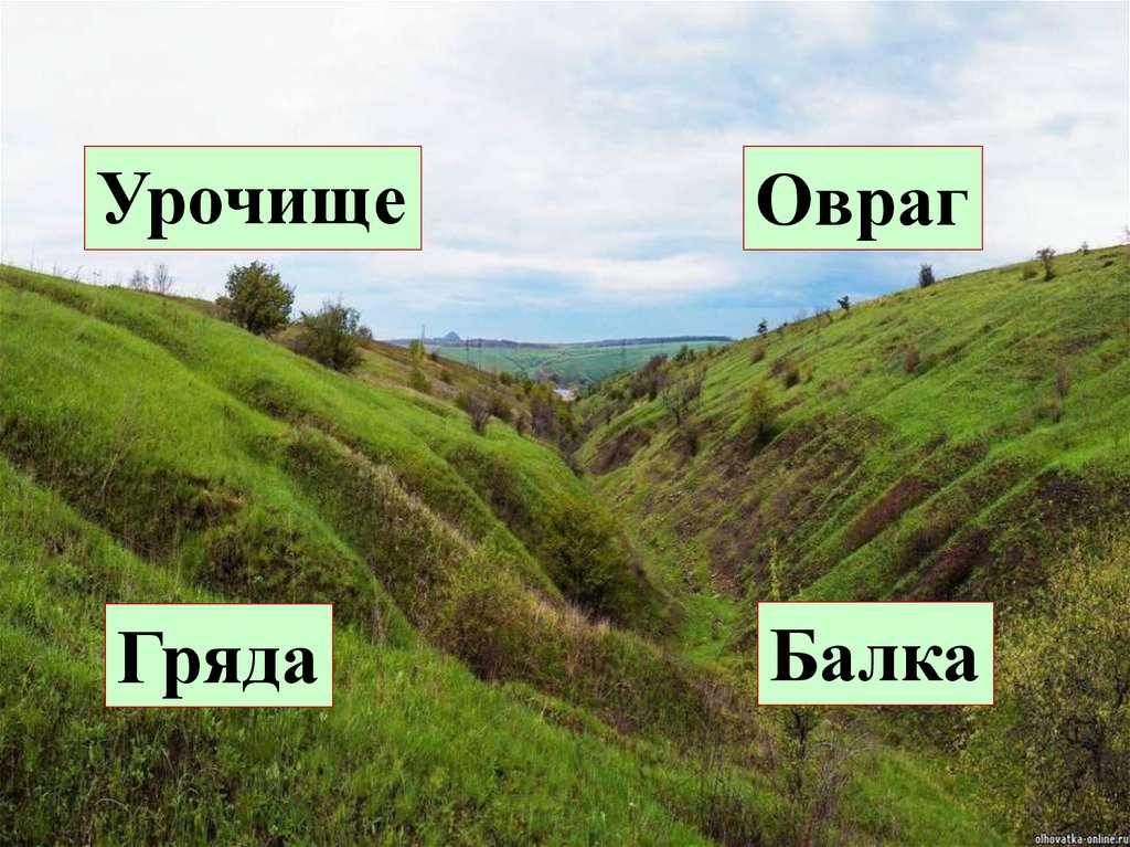 Слово гряда. Балка овраг. Овраги и балки. Балка местность. Балки овраги овраги.