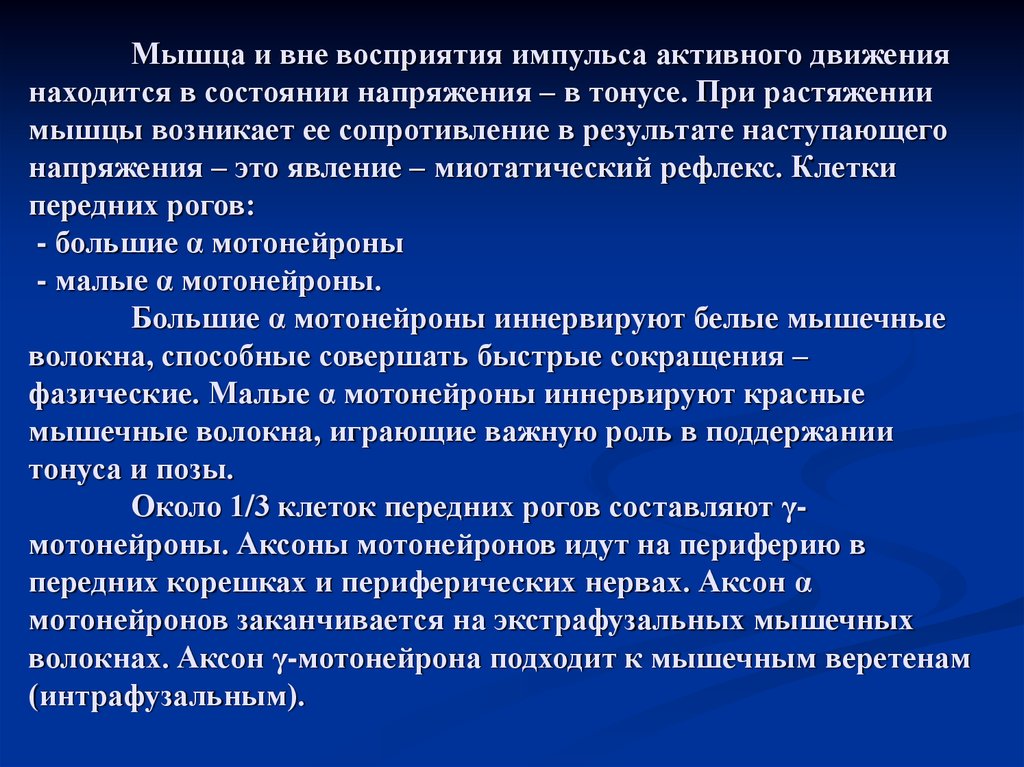 Способны к активному движению. Постуральные мышцы и фазические. Активность Импульс. Мышечный тонус при Центральном парезе фазический. Вне восприятия.