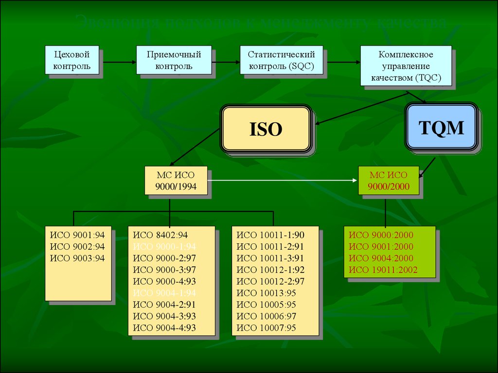 ИСО 8402. ИСО 9000 9001 9002 9003 9004. ИСО 8402-1994. ISO 9000 1994. Как называют 2000 год