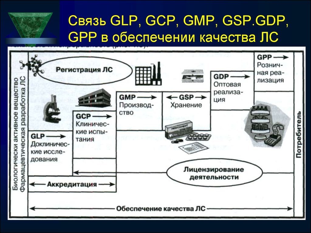 Гсп отдел кадров. Стандарты GLP И GCP.. GMP GLP. GMP GLP стандарты. GMP система качества.