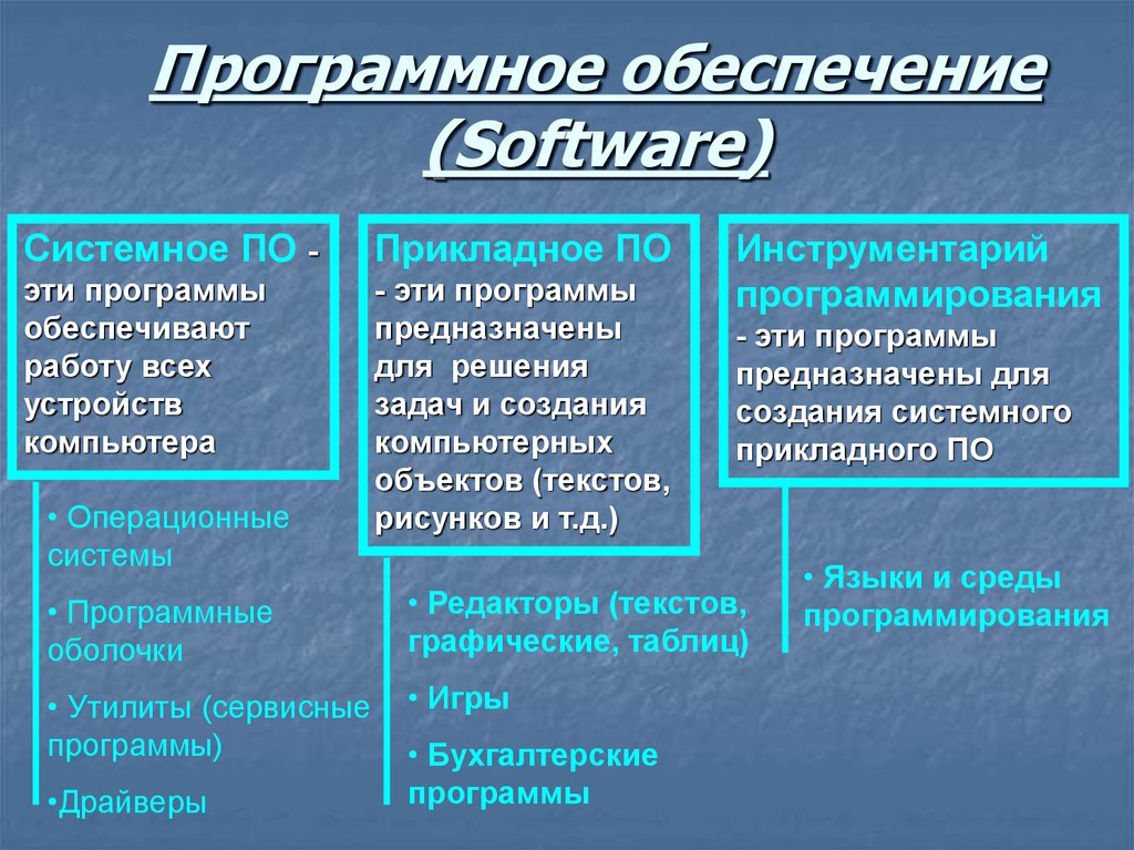Программное обеспечение (Software)