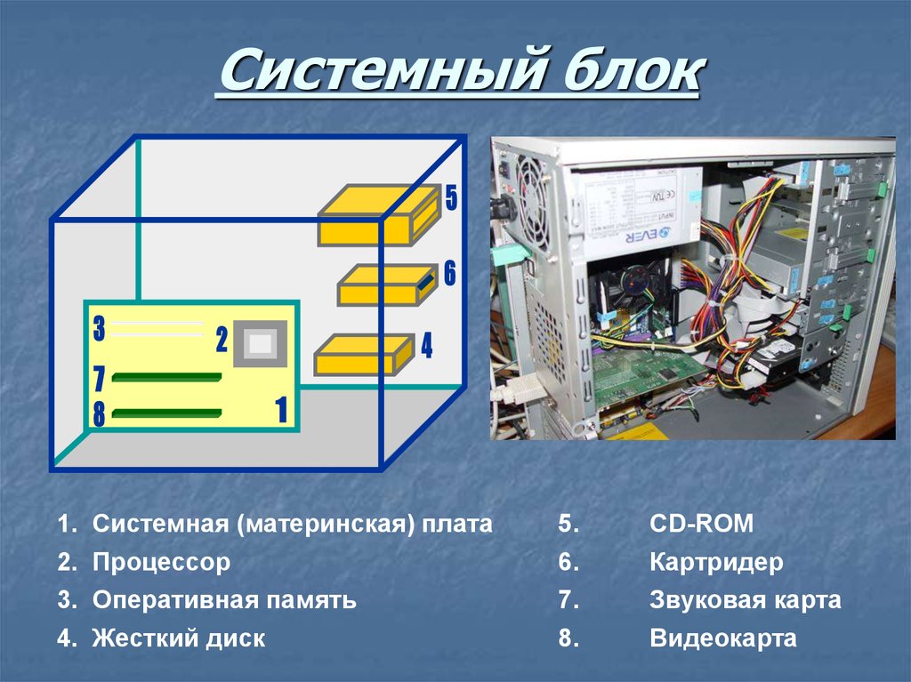 Устройство системного блока. Системный блок процессор Оперативная память жёсткий диск. Процессор в системном блоке. Звуковая карта в системном блоке. Программное обеспечение состоит из оперативной памяти.