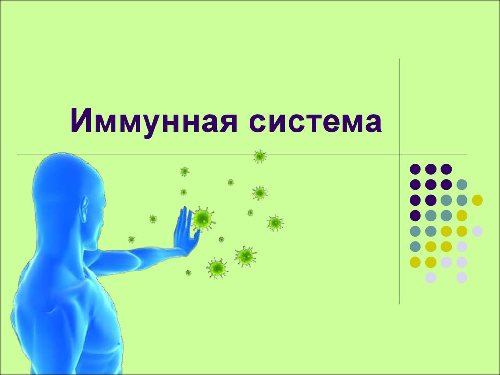 Иммунная система презентация на английском языке