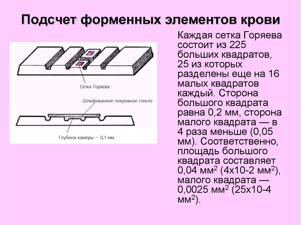 Код бога лекция горяева. Подсчет форменных элементов крови счетная камера Горяева. Камера для счета форменных элементов крови камера Горяева. Методика подсчета форменных элементов крови в камере Горяева.. Строение камеры Горяева.