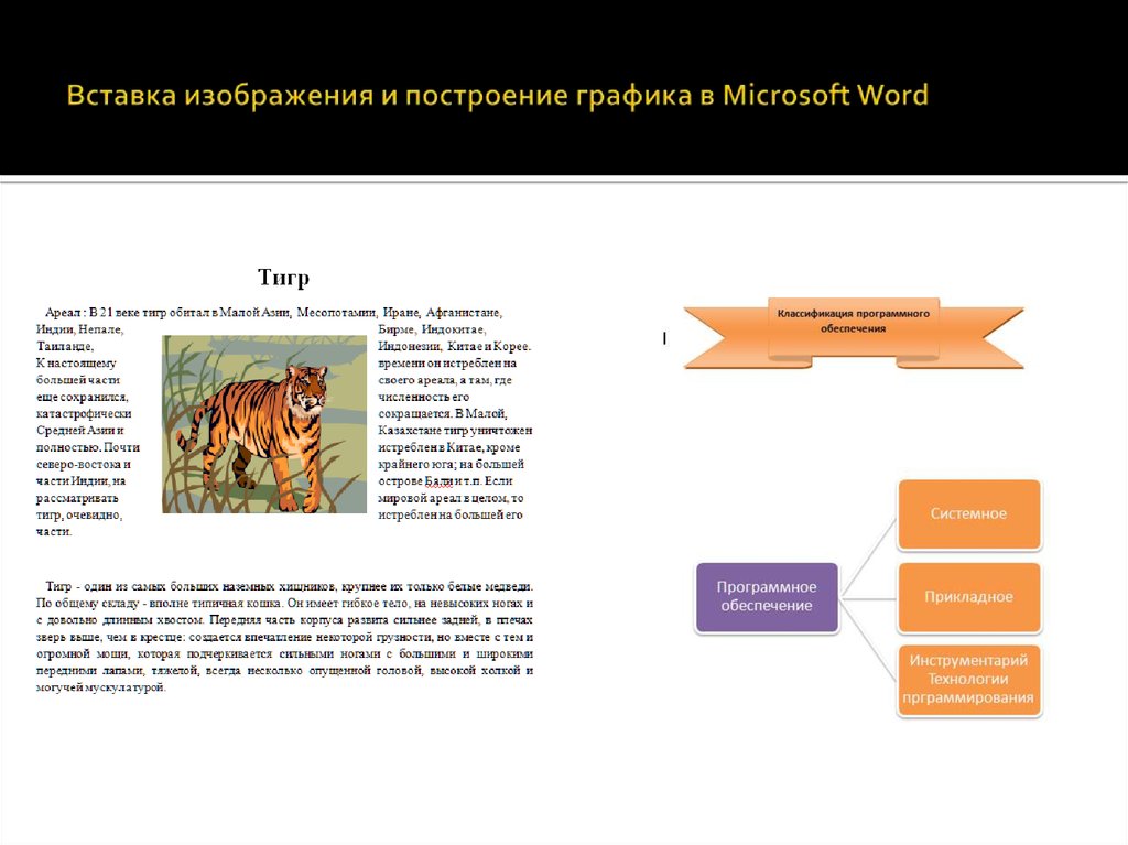 Вставка изображения и построение графика в Microsoft Word