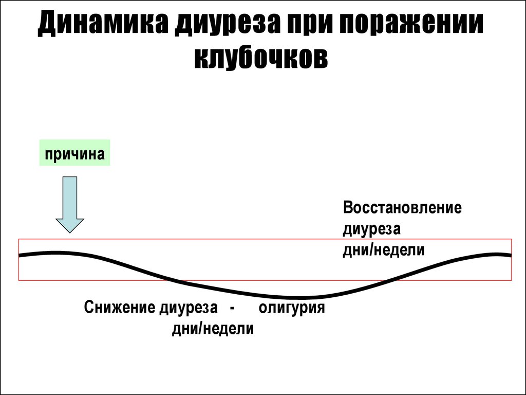 Причины восстановления. Снижение диуреза. Снижение диуреза причины. Снижение диуреза рисунок. Снижение минутного диуреза причины.