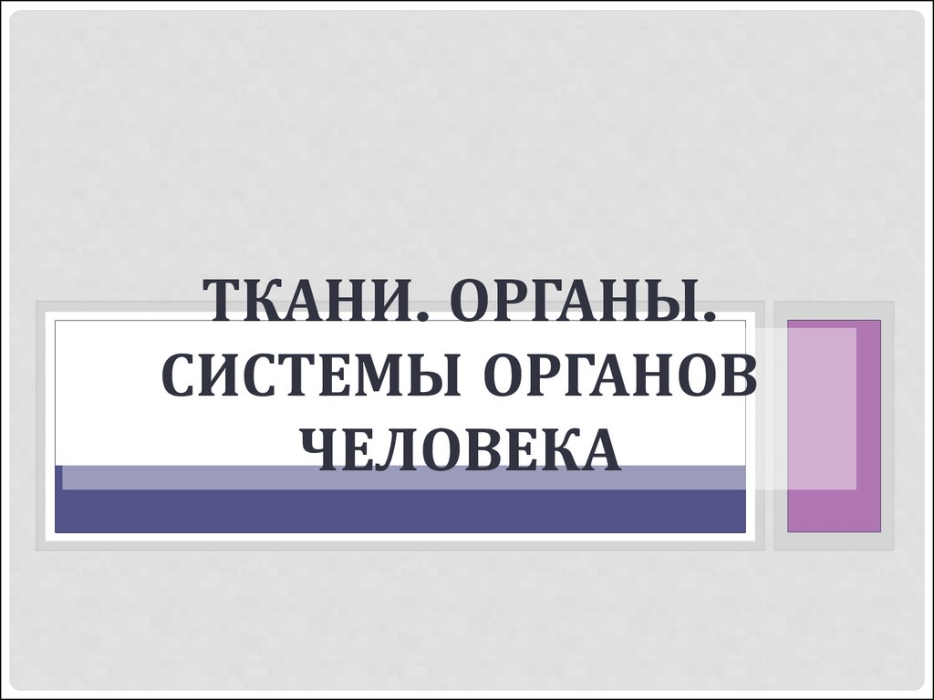 Презентация ткани органы и системы органов человека