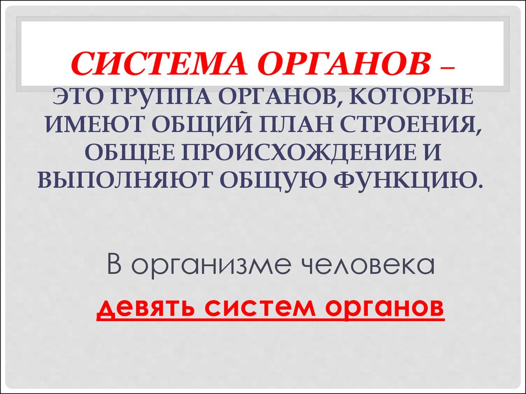 Органы имеющие общее происхождение единый план строения выполняющие общую функцию