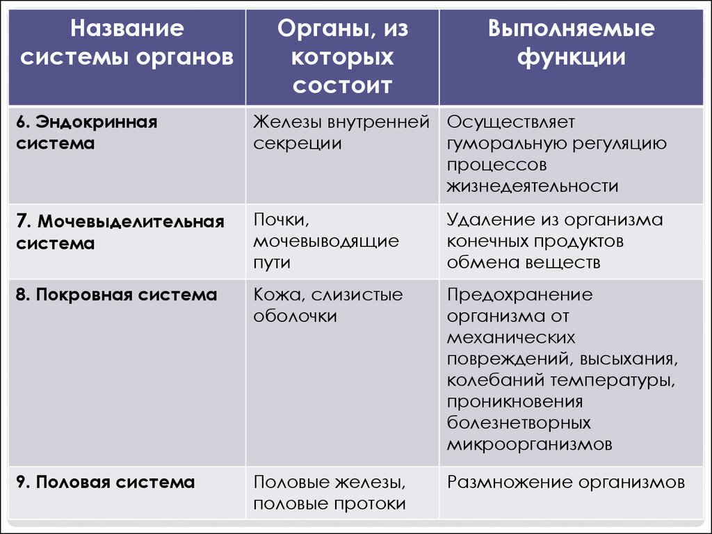 Виды систем органов. Таблица по биологии 8 класс система органов органы функции таблица. Таблица по биологии система органов органы функции. Таблица название системы органы системы функции. Заполнить таблицу система органов органы функции.