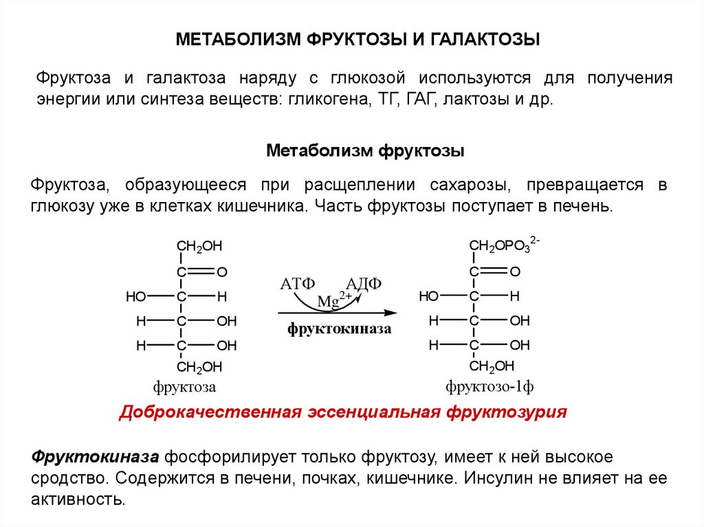 Обмен глюкозы