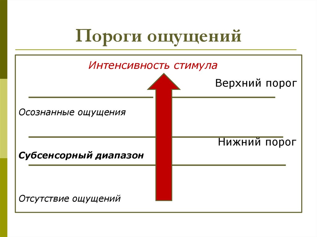 Пороги ощущений