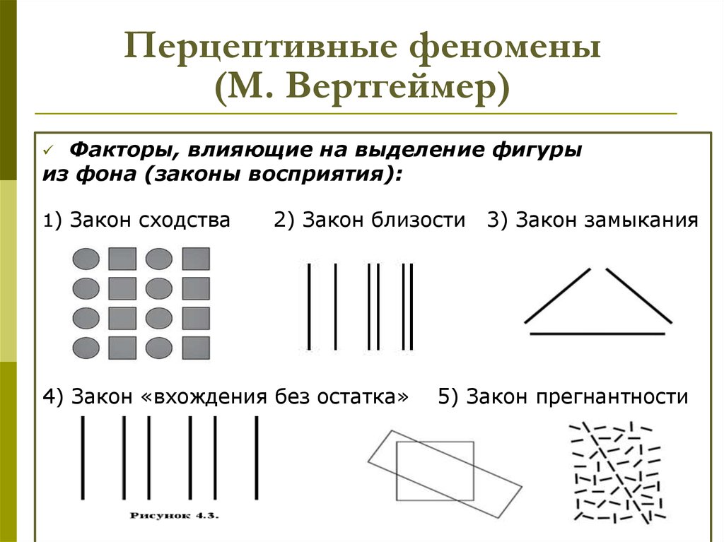 Восприятие 1. Законы восприятия по Вертгеймеру. Феномены восприятия в психологии. Закон прегнантности в гештальтпсихологии. Законы восприятия в гештальтпсихологии.