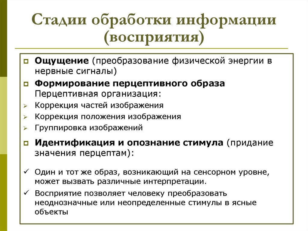 Этап восприятия материала. Стадии обработки информации. Основные этапы обработки информации на ПК. Восприятие и обработка информации. Дайте характеристику основных этапов обработки информации.