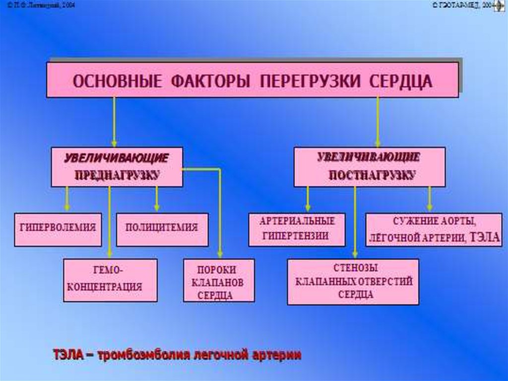 Перегрузка сердца. Миокардиальные формы сердечной недостаточности. Миокардиальная форма сердечной недостаточности. Фактори перегрузки сердца. Миокардиальная форма сердечной недостаточности патофизиология.