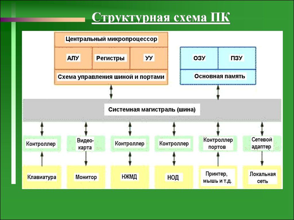 Структурно функциональная схема компьютера включает в себя ответы на тест