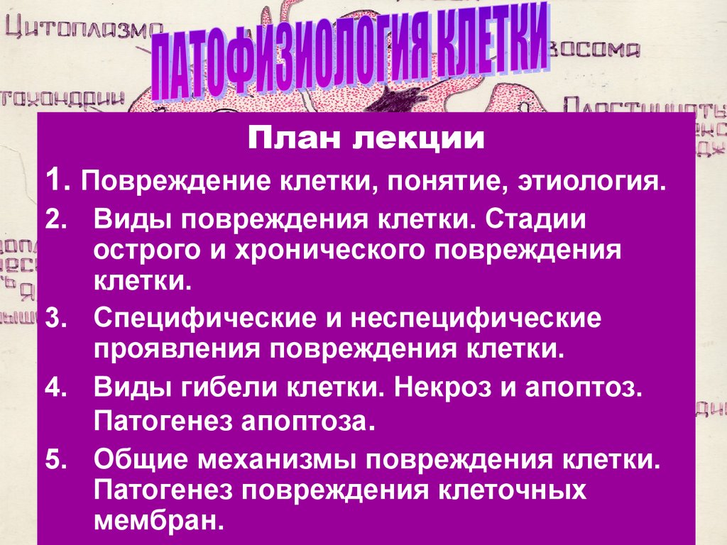 Повреждение клетки. Специфические проявления повреждения клетки. Неспецифические проявления повреждения клетки. Стадии повреждения клетки. Повреждение клетки виды этиология.