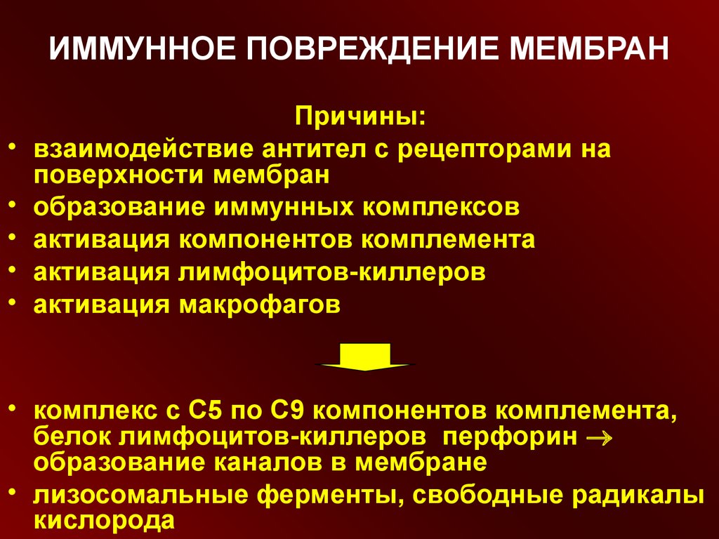 Реакции иммунного повреждения. Повреждение мембран патофизиология. Повреждение клеточной мембраны патофизиология. Механизмы повреждения клеточных мембран. Патофизиология клетки презентация.