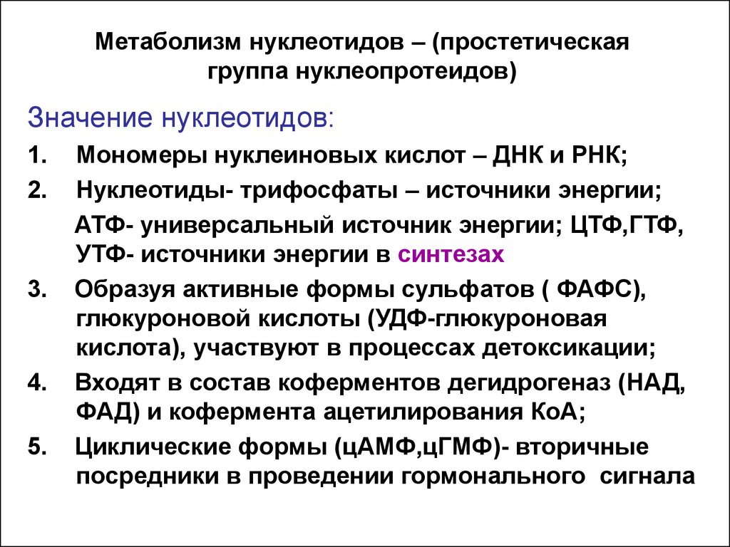 Источники нуклеотидов. Метаболизм нуклеотидов. Функции нуклеотидов биохимия. Функции нуклеотидов. Роль нуклеотидов в обмене веществ.