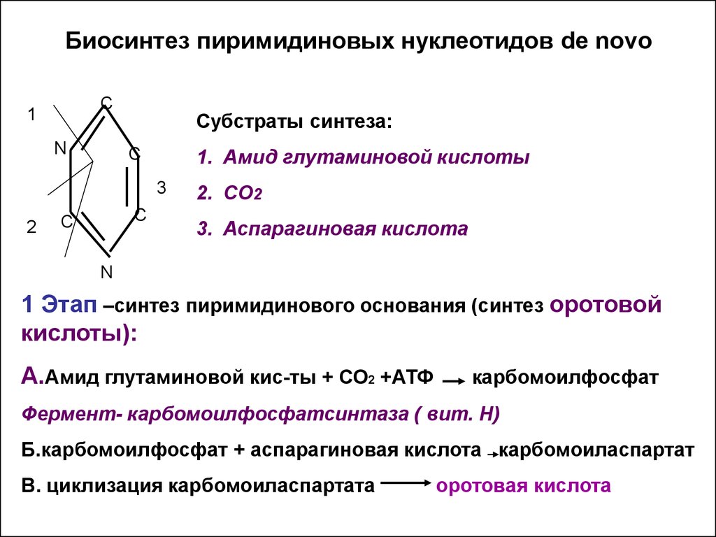 Этапы синтеза нуклеотидов. Схема синтеза пиримидиновых нуклеотидов de novo. Синтез пиримидиновых нуклеотидов. Биосинтез пиримидиновых нуклеотидов de novo. Образование пиримидиновых нуклеотидов de novo.