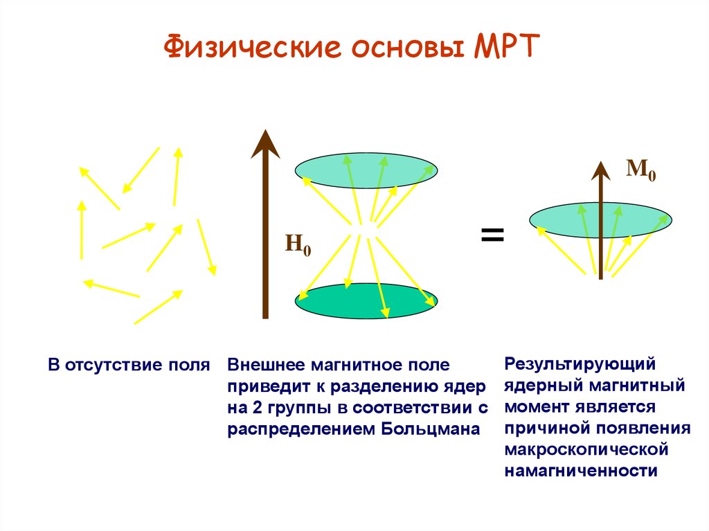 Физические основы мрт презентация