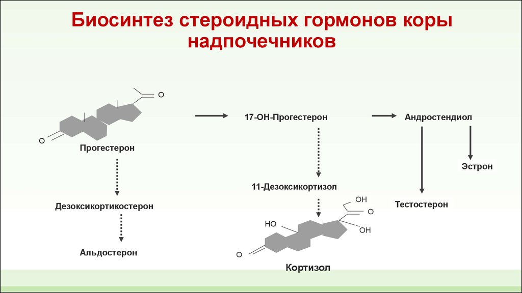 Синтез гормонов в организме. Схема синтеза стероидных гормонов. Схема биосинтеза стероидных гормонов в коре надпочечников. Синтез тестостерона схема. Схема синтеза гормонов надпочечников.