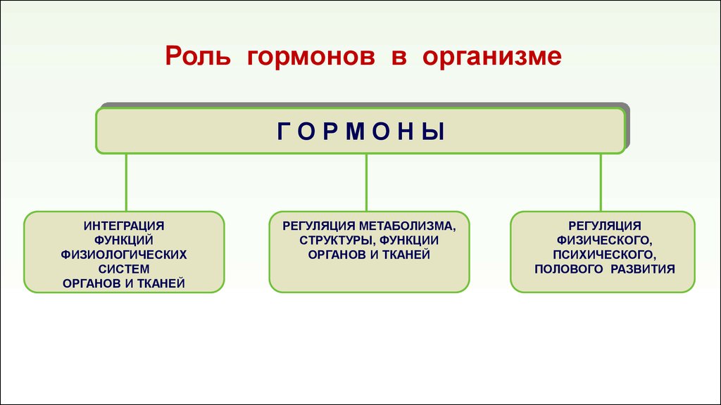 Роль гормонов