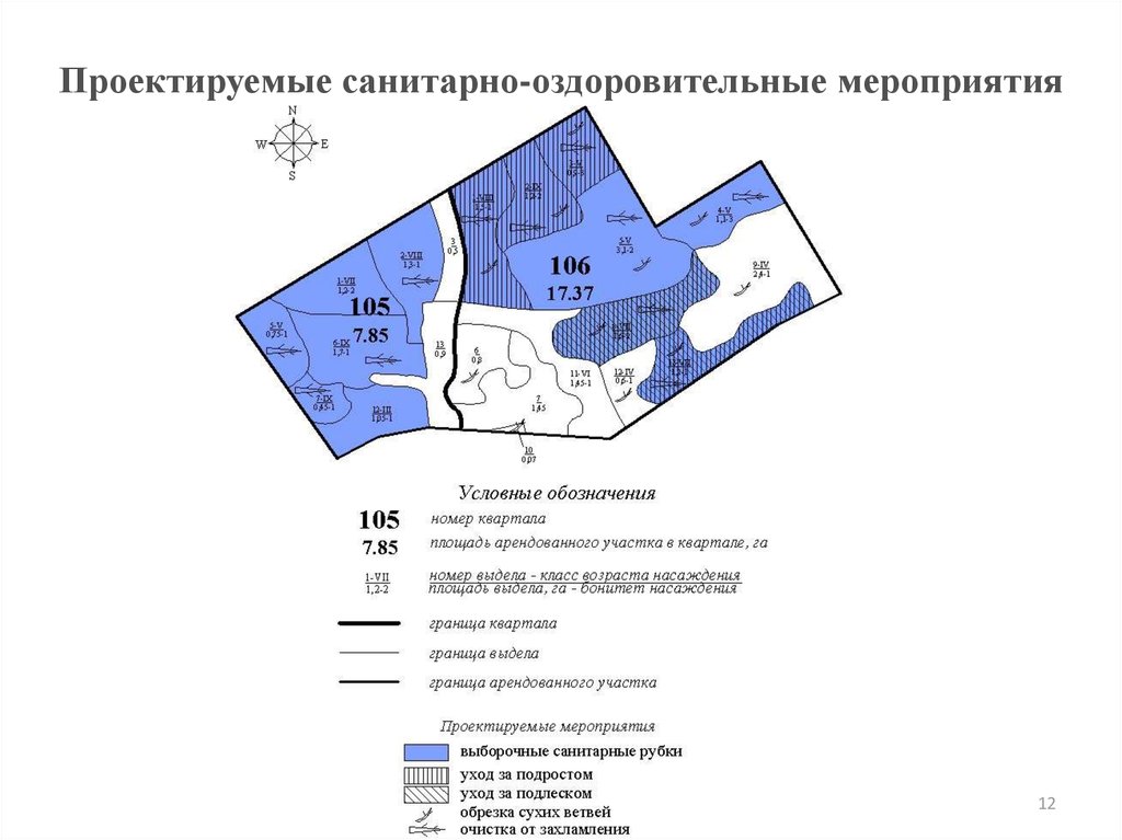 Государственная или муниципальная экспертиза проекта освоения лесов