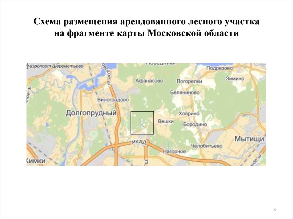 Схема размещения арендованного лесного участка на фрагменте карты Московской области