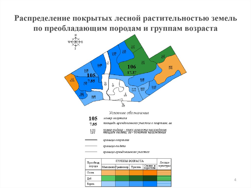 План схема лесного участка