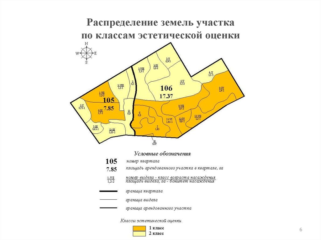 Тематическая лесная карта в проекте освоения лесов