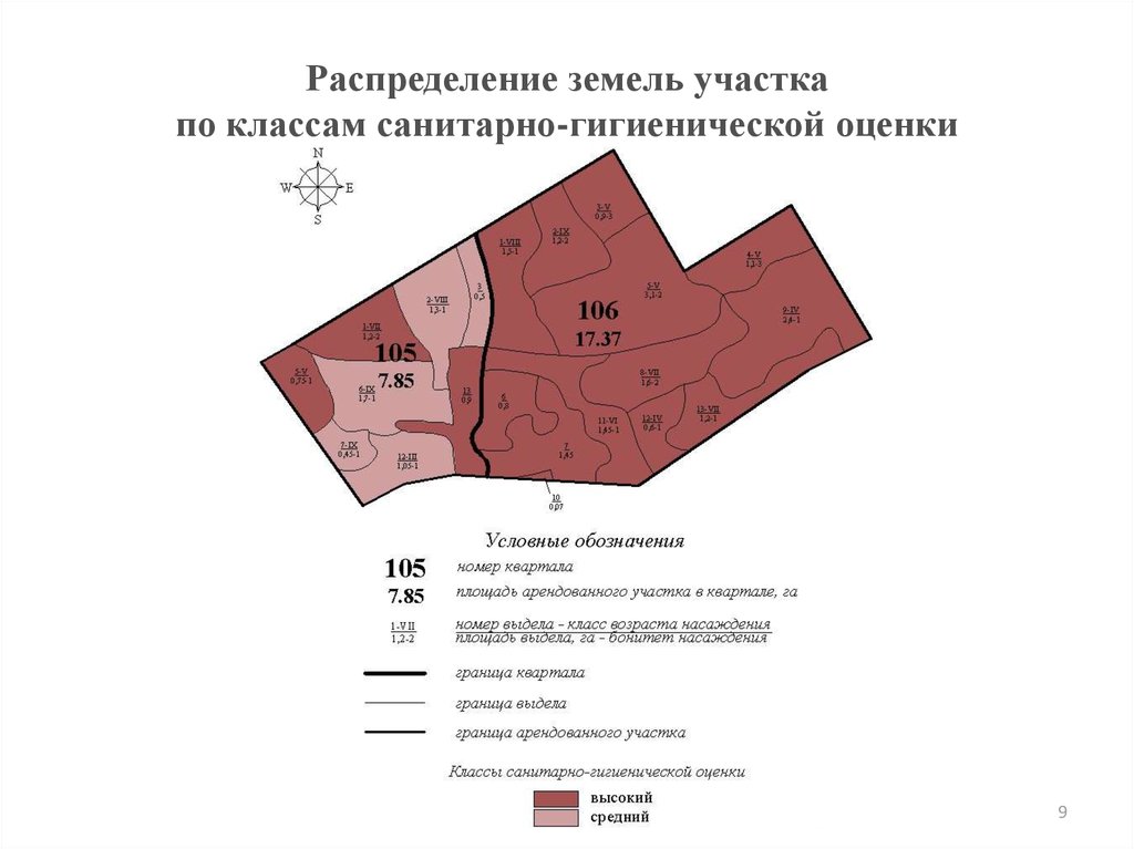 Тематическая лесная карта в проекте освоения лесов