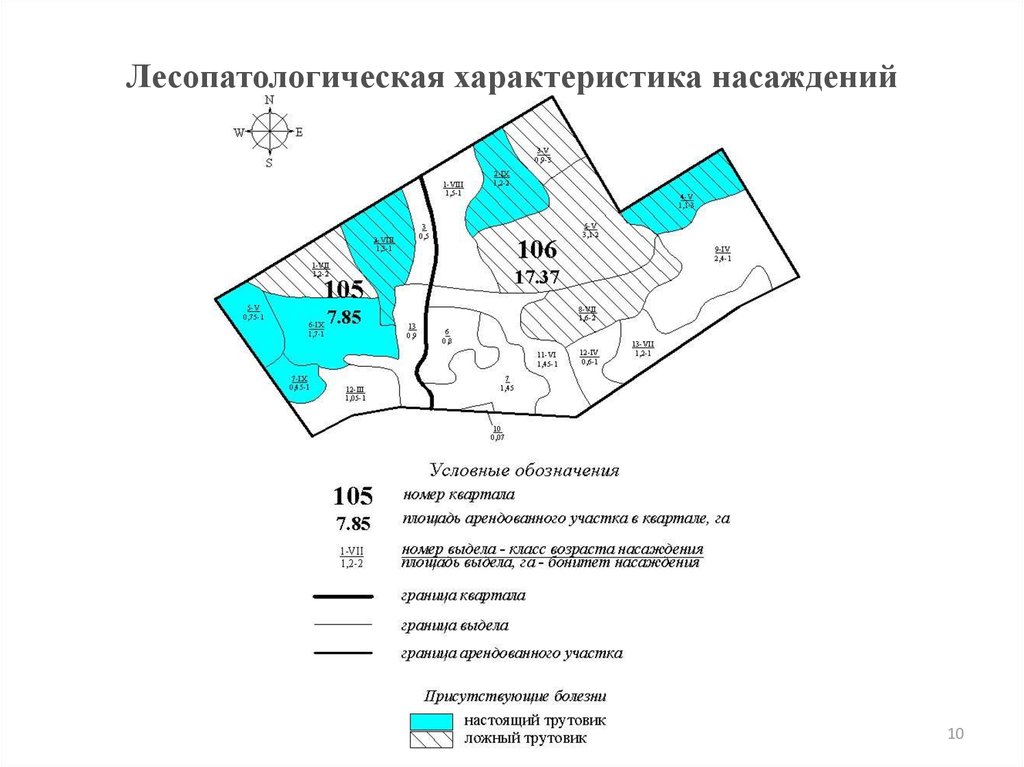 Проект освоения лесов составляется лицам которым участки переданы