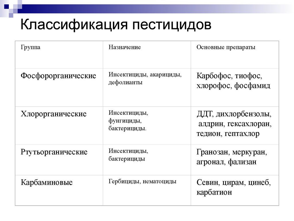 Характеристика первичной группы