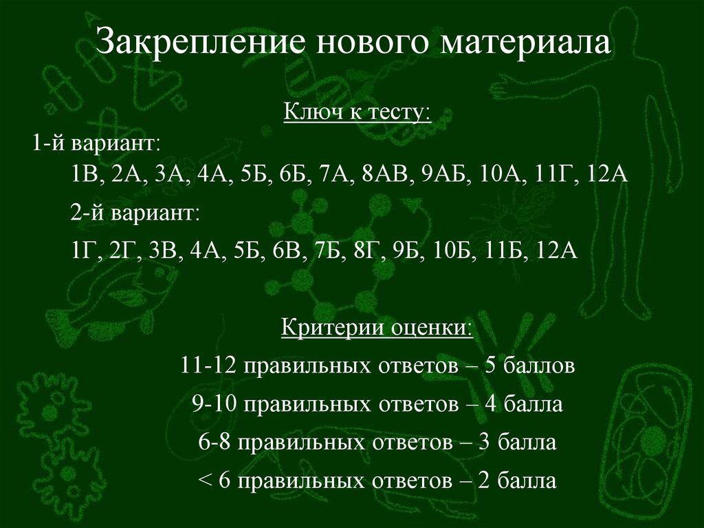 Органы равновесия кожно мышечной чувствительности обоняния и вкуса 8 класс презентация