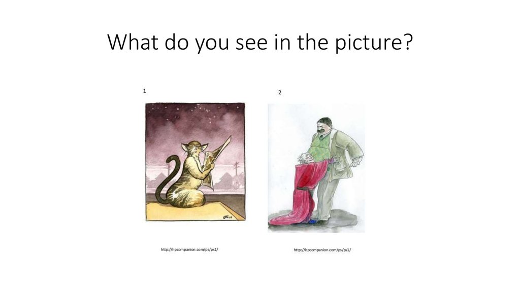 What do you see in the picture?