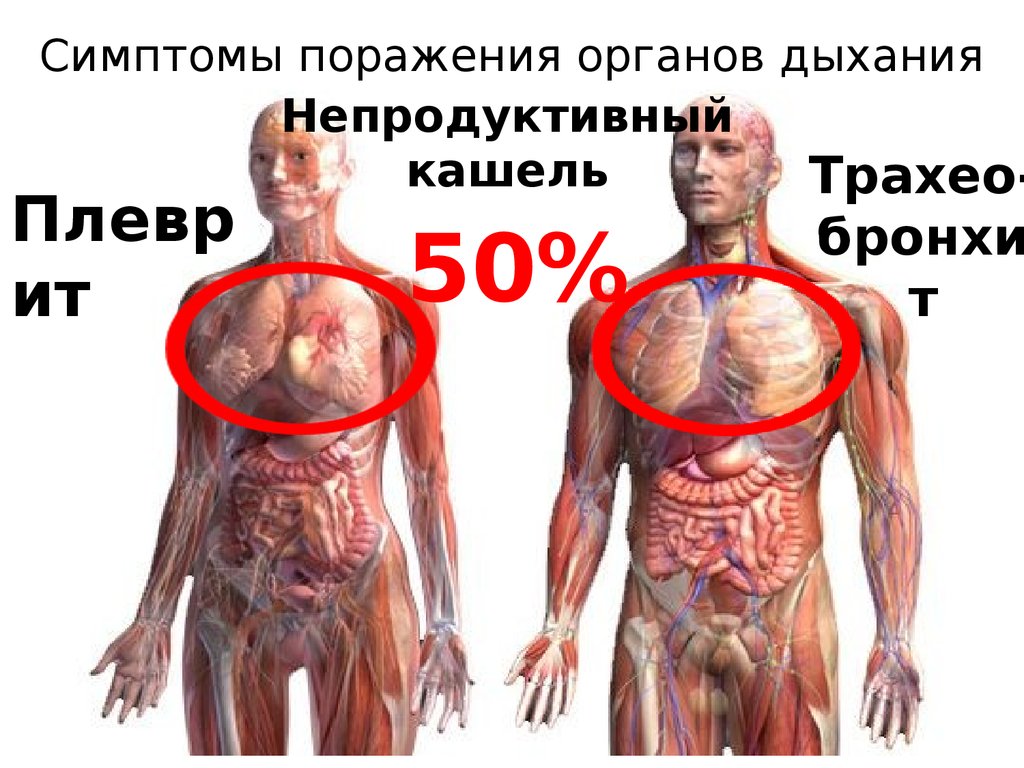 Симптомы поражения органов дыхания