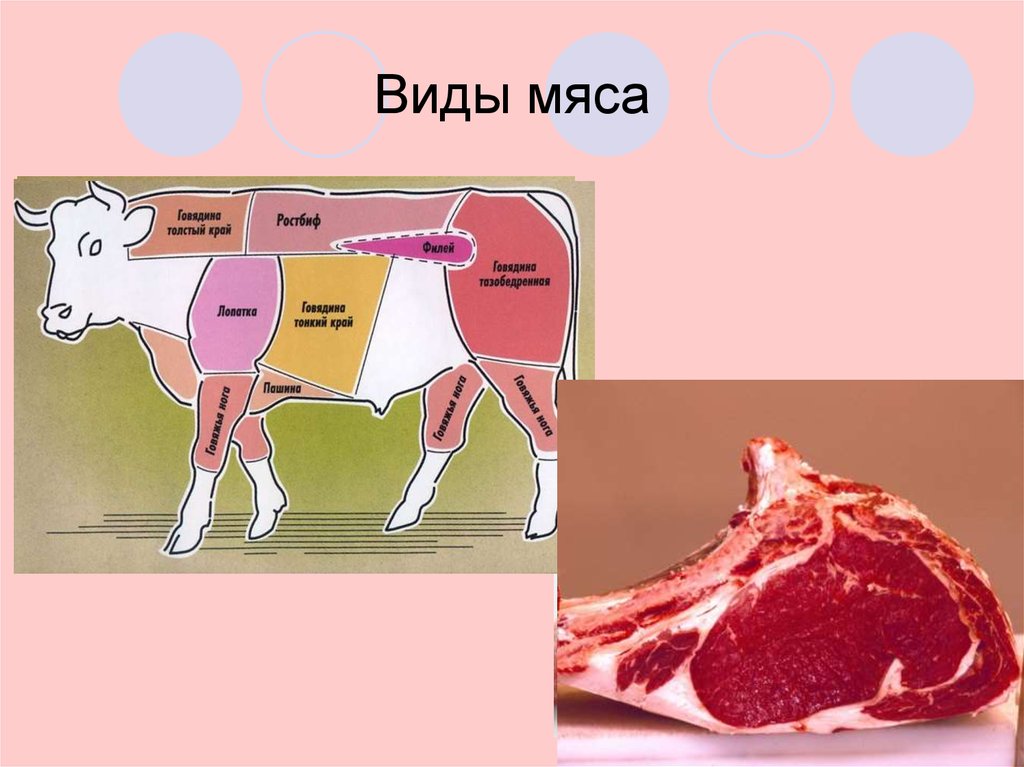 Animals meat. Виды мяса. Виды говядины. Виды мяса животных. Виды мяса говядины.