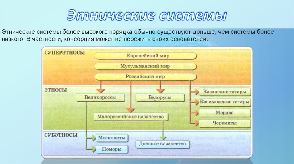 Более систем. Этнические системы. Система высшего порядка. Система этносов. Этническая подсистема.