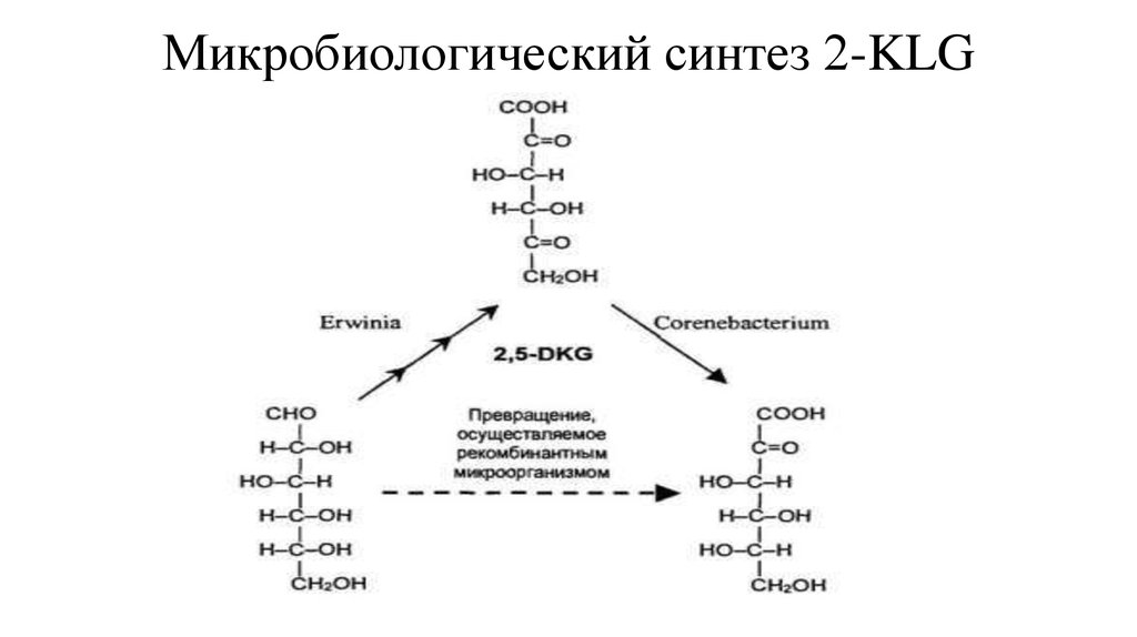 Схема микробиологического синтеза аминокислот