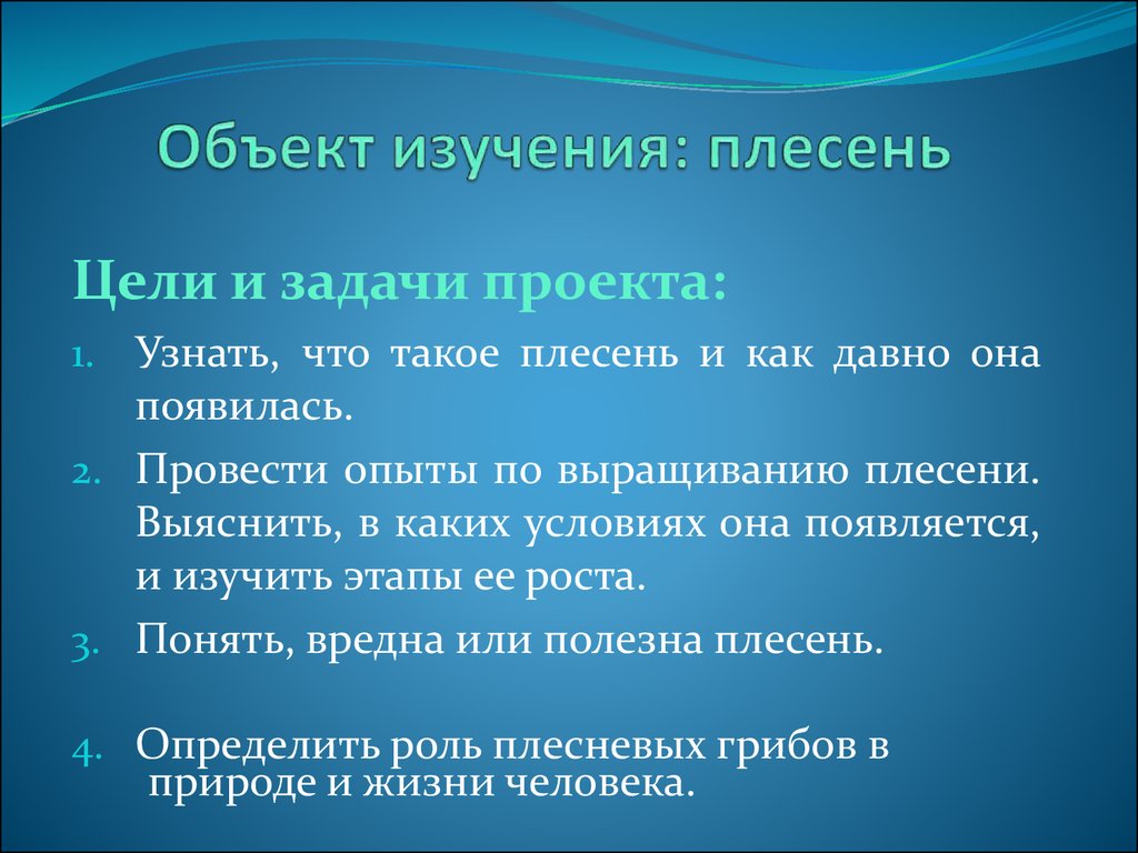 Плесневые грибы - презентация к уроку Окружающий мир