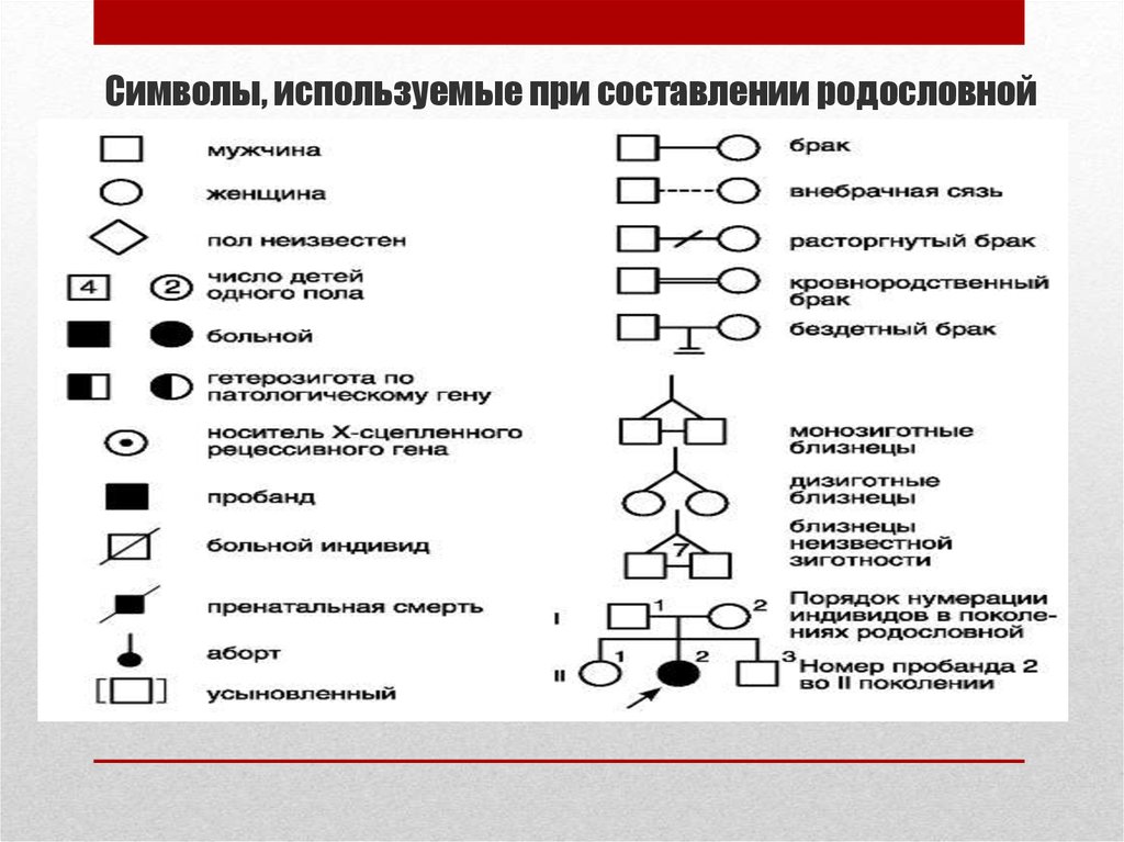 Условные обозначения генетики