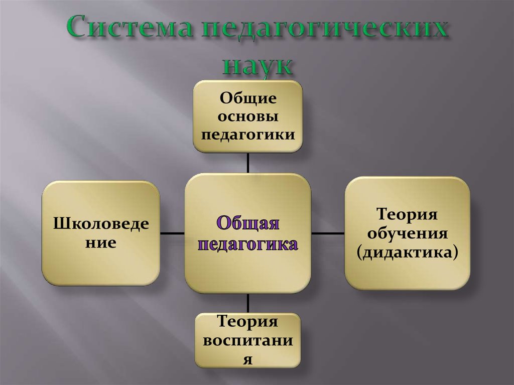 Отрасли педагогики презентация