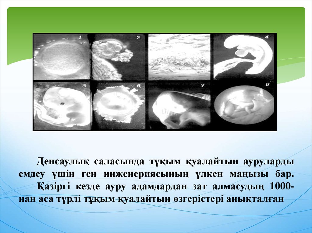 Денсаулық саласында тұқым қуалайтын ауруларды емдеу үшін ген инженериясының үлкен маңызы бар. Қазіргі кезде ауру адамдардан зат алмасуды
