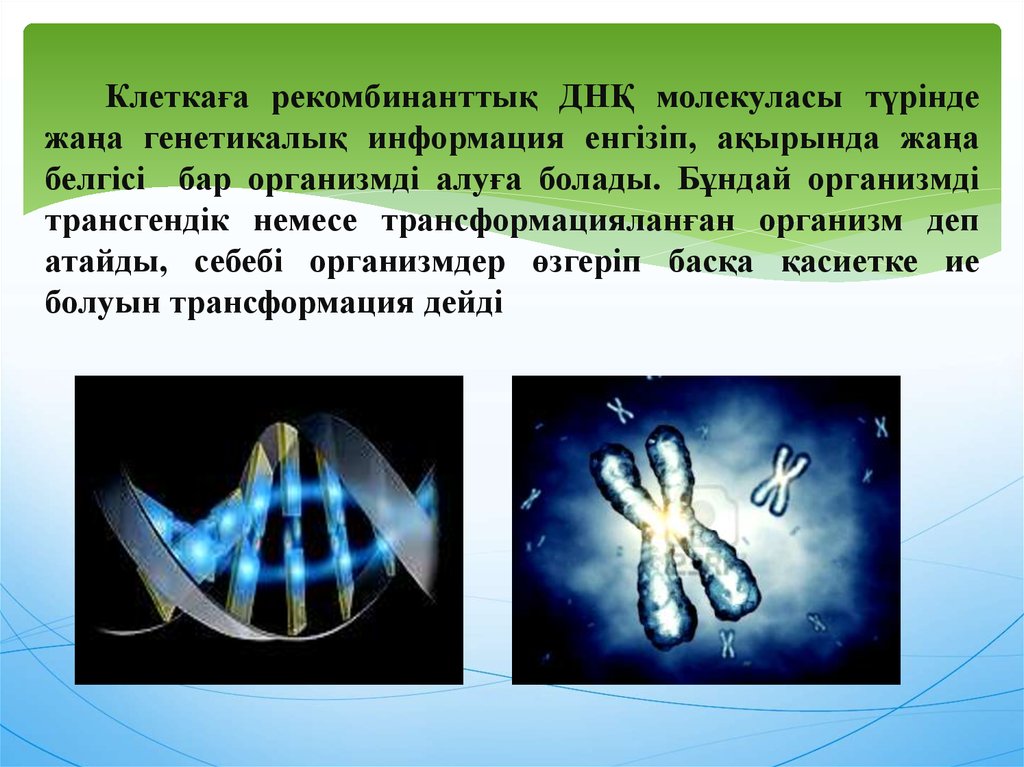 Рекомбинантты дезоксирибонуклеин қышқылы ұғымы презентация