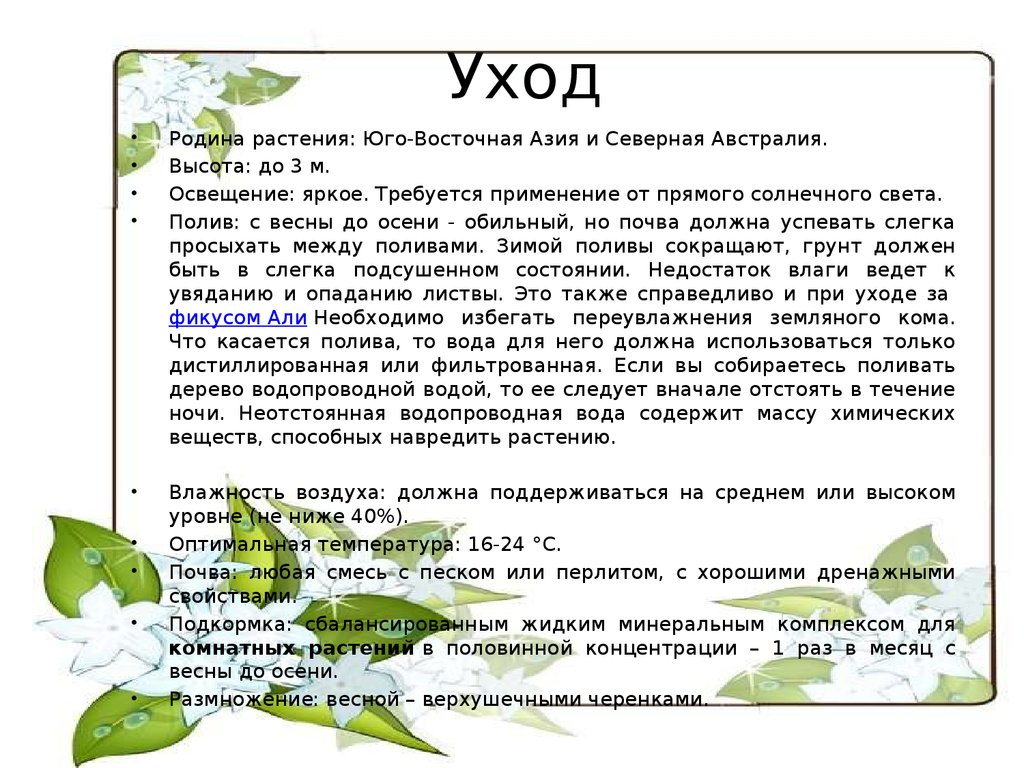 Рабочая программа по технологии Симоненко 5–8 класс (часть3)