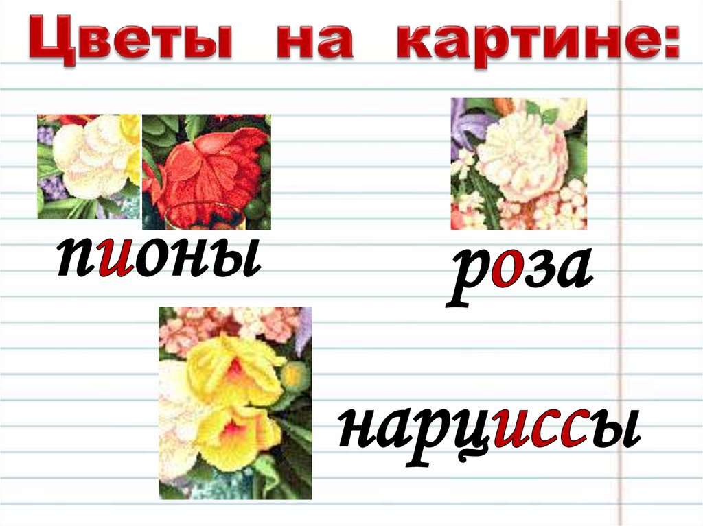 Сочинение цветы и плоды